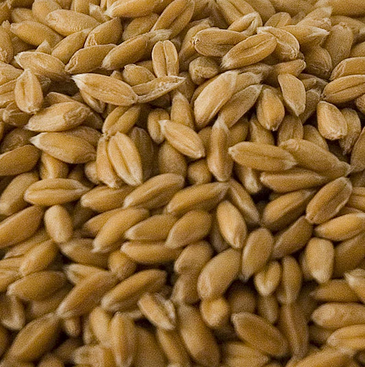 Spelt, hel, skrællet, økologisk, 1 kg