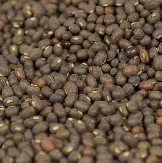 Linser, sorte, urid dal/urid bønner, uskrællede, hele, 1 kg