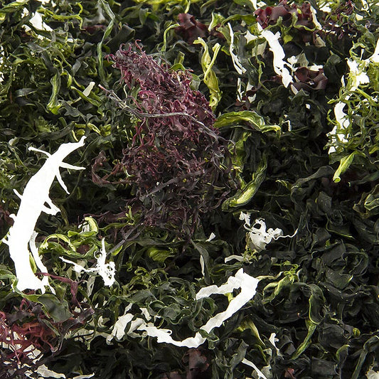 Kaiso Dried Seaweed Mix, tørret tang, 6 typer tang til Kaiso-salat, 100 g