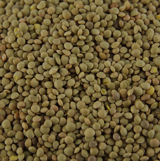 Linser, brune - Lenticchie Umbre, bjerglinser, Umbrien, Bartolini, 500 g