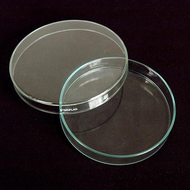 Petriskåle af glas, ø 12 cm med låg, 1 stk.