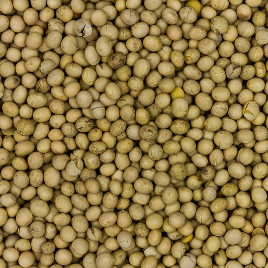 Sojabønner, Europa, økologisk, 1 kg