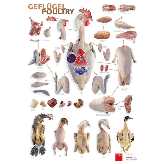 Port Culinaire - Køkkenplakat med fjerkræ (59,4 x 84 cm), 1 stk.