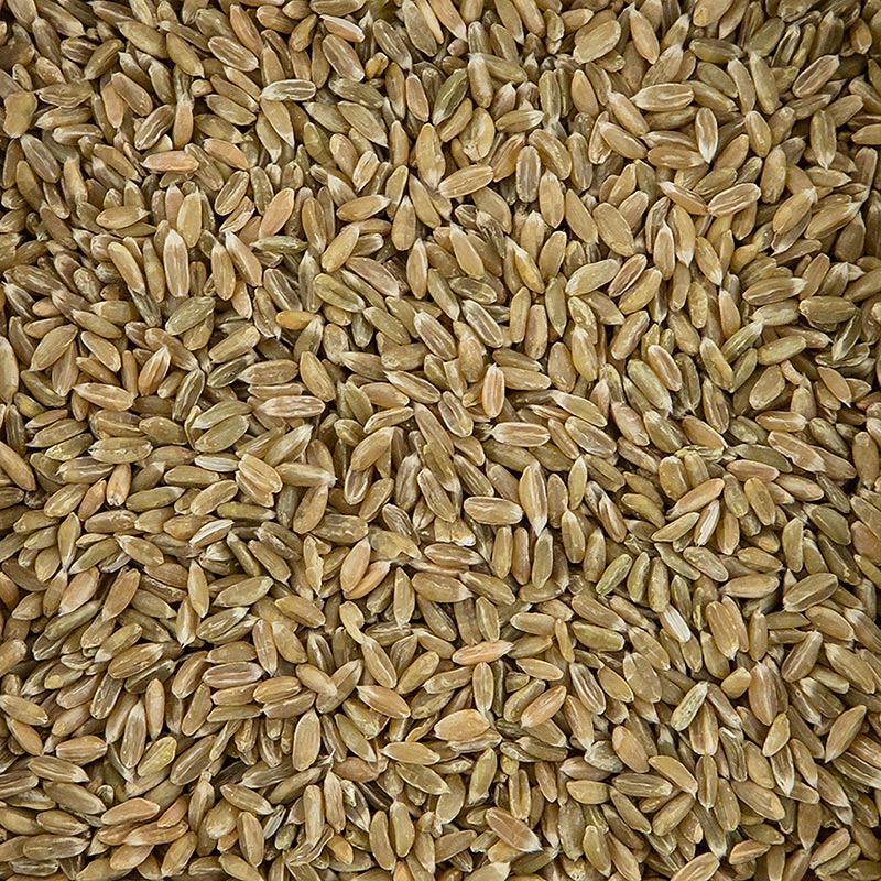 Grøn spelt, hel, økologisk, 1 kg