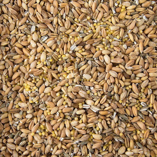 6 kornblanding (hvede, rug, spelt, havre, hirse, byg), 1 kg