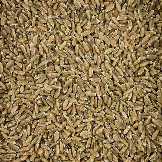 Grøn spelt, hel, økologisk, 500 g