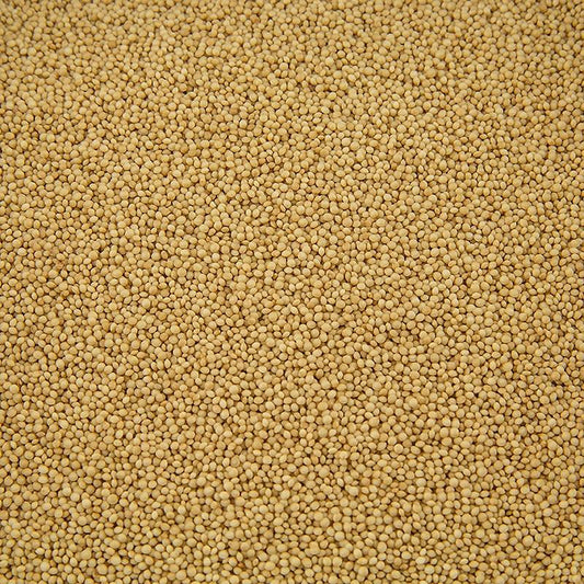 Amaranth, BIO, 1 kg - BIO-området - BIO korn, mel, frø, bagning ingredienser -