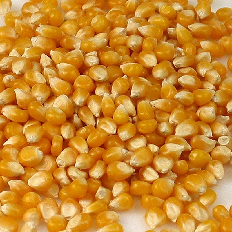 Pop-corn majs, BIO, 1 kg - BIO-området - BIO korn, mel, frø, bagning ingredienser -