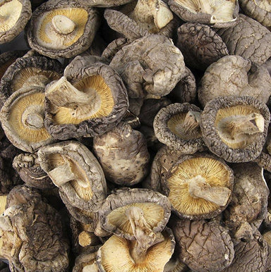 Shiitake svampe, Tongu, lille kalibrering ø 3cm, Zhong-Hon-Gu, 1 kg - morels, porcini svampe, tørrede svampe - Tørrede svampe -