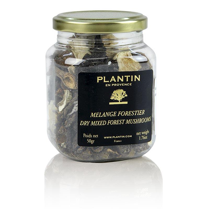 Blandede svampe - Mélange Forestier, Plantin, 50 g - morkler, porcini svampe, tørrede svampe - Tørrede svampe -