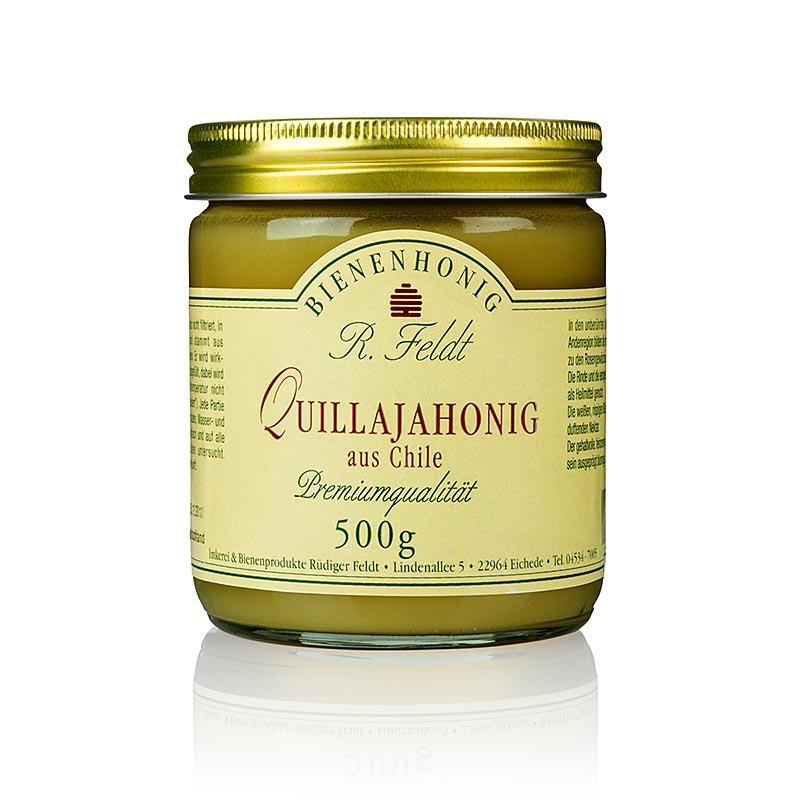 Quillaja honning, Chile, mørk gul, cremet aromatisk, nøddeagtig, 500 g - honning, marmelade, frugt opslag - honning biavl Feldt -