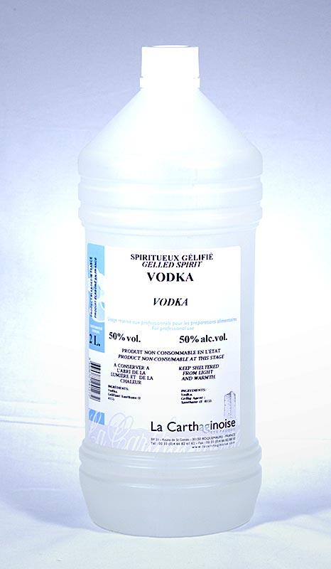 Vodka vol, 50% gel til konditori & gelato, 2 l -. Pastry, desserter, sirupper - konditori Aids -