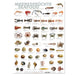 Port Culinaire - Køkken Plakater Fisk og skaldyr (59,4 x 84cm), 1 St - Non Food / Hardware / grill tilbehør - printmedier -