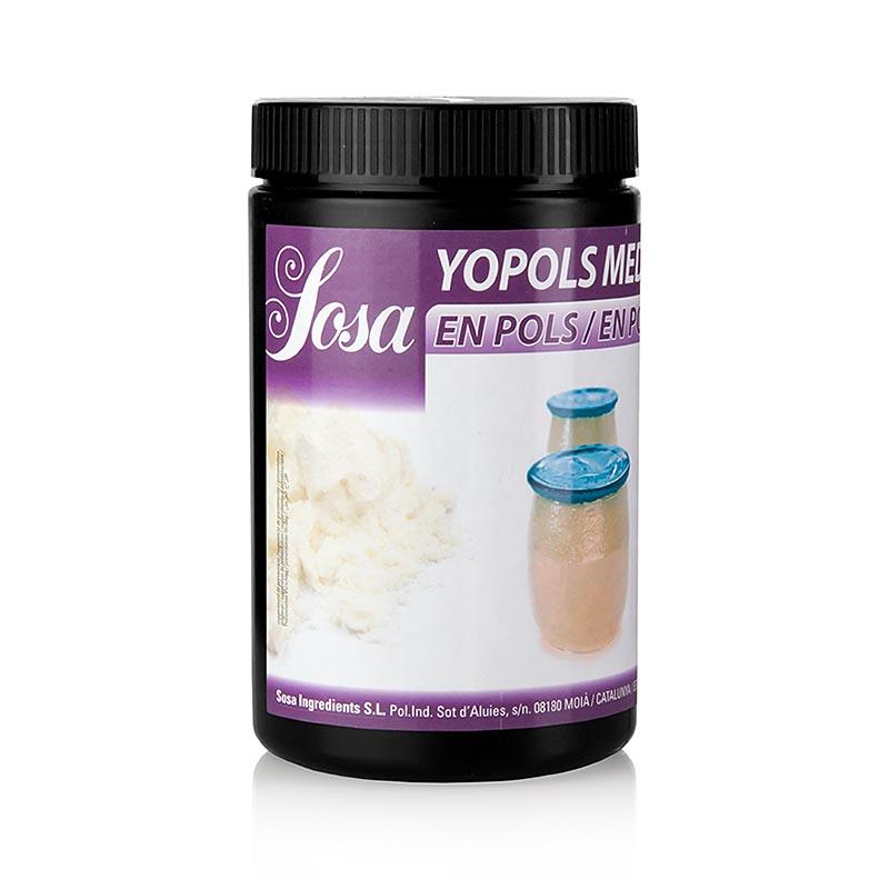 Pulver - yoghurt, Middelhavsområdet sur, 800 g - Molekylær Cooking - Produkter fra Sosa -